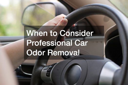 When to Consider Professional Car Odor Removal